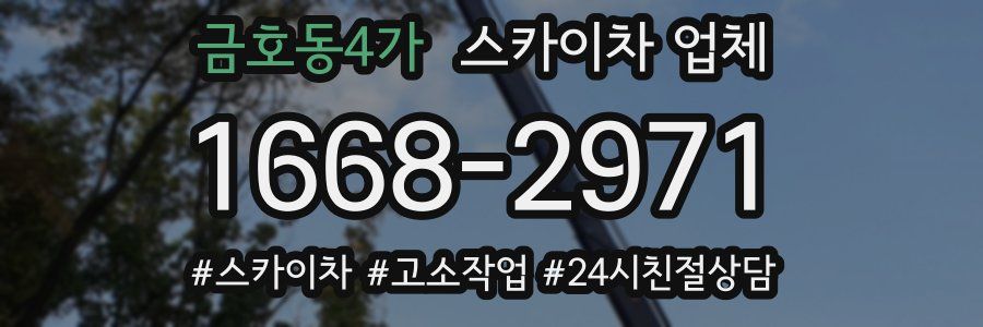 금호동4가 스카이차 업체
