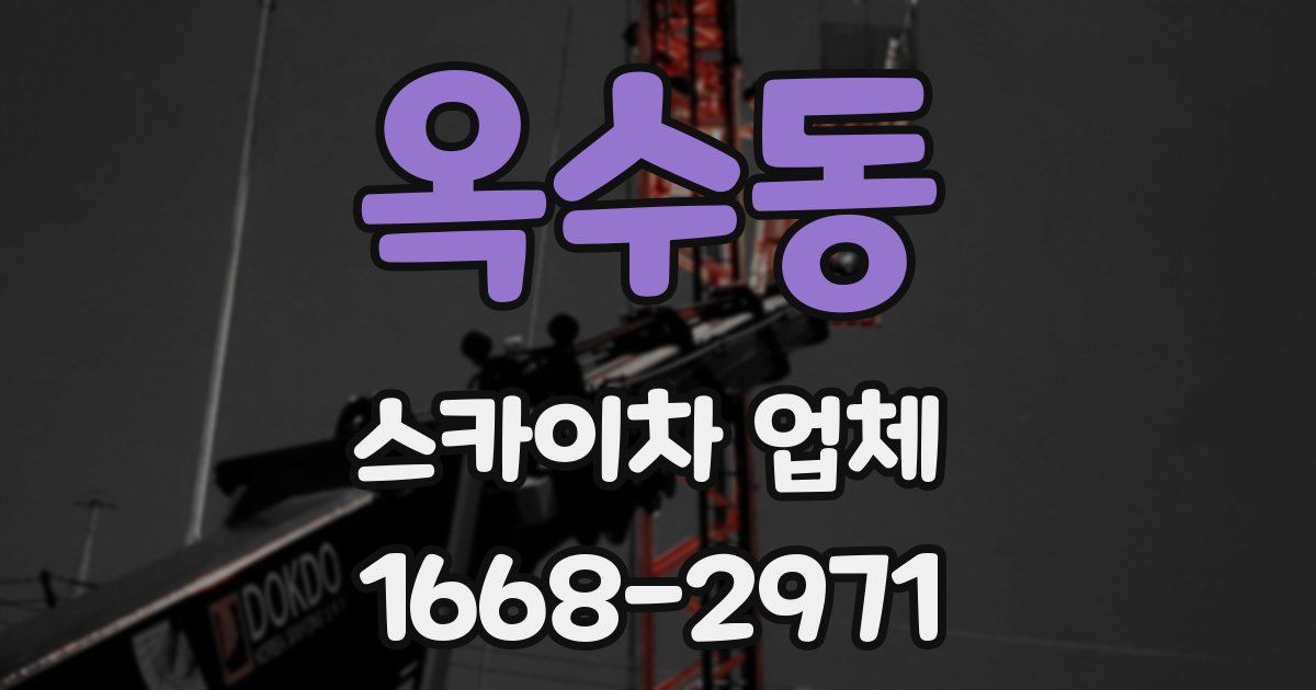 옥수동 스카이차 업체