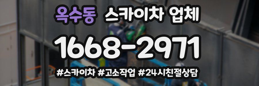 옥수동 스카이차 업체