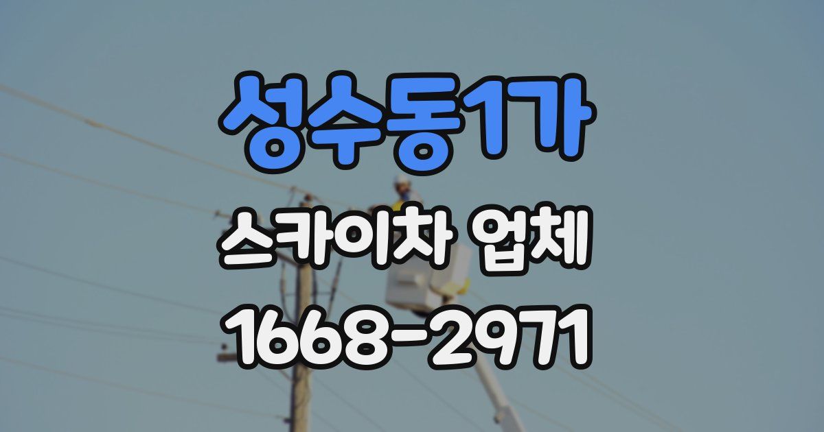 성수동1가 스카이차 업체