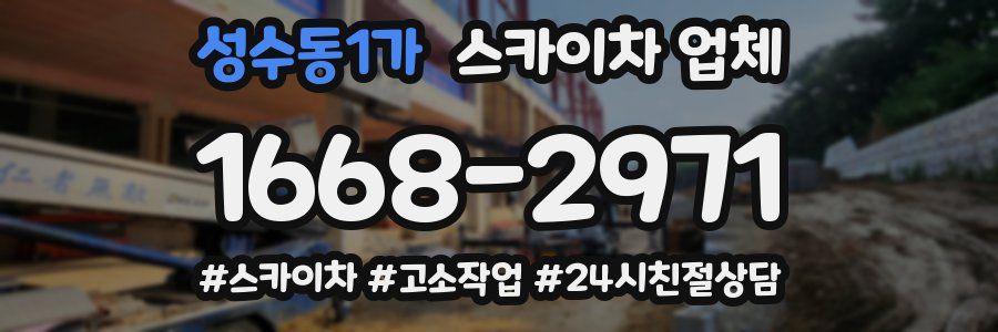 성수동1가 스카이차 업체