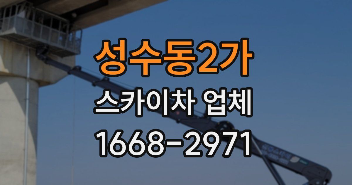 성수동2가 스카이차 업체