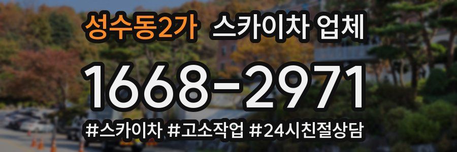 성수동2가 스카이차 업체