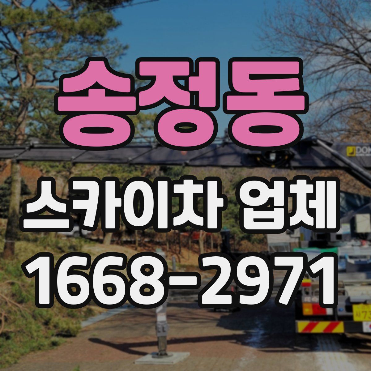 송정동 스카이차 업체