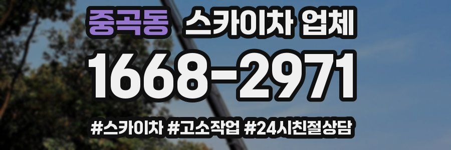중곡동 스카이차 업체