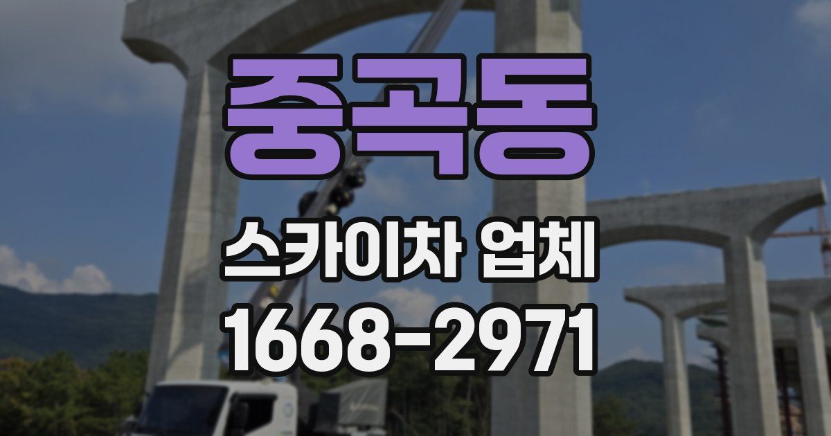 중곡동 스카이차 업체