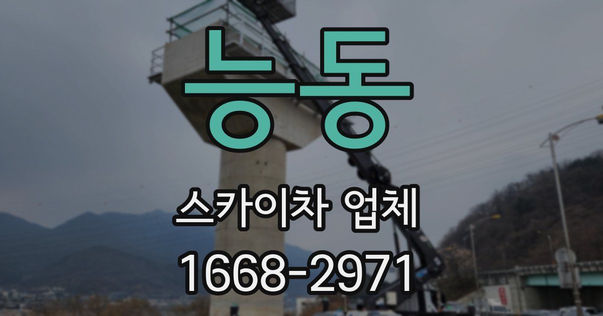 능동 스카이차 업체