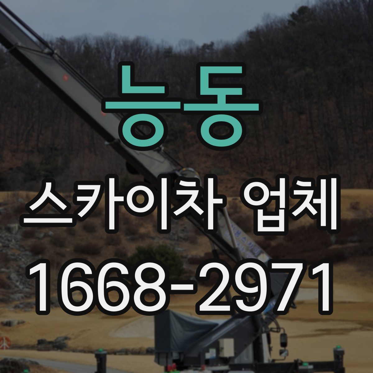 능동 스카이차 업체