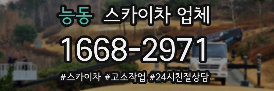 능동 스카이차 업체