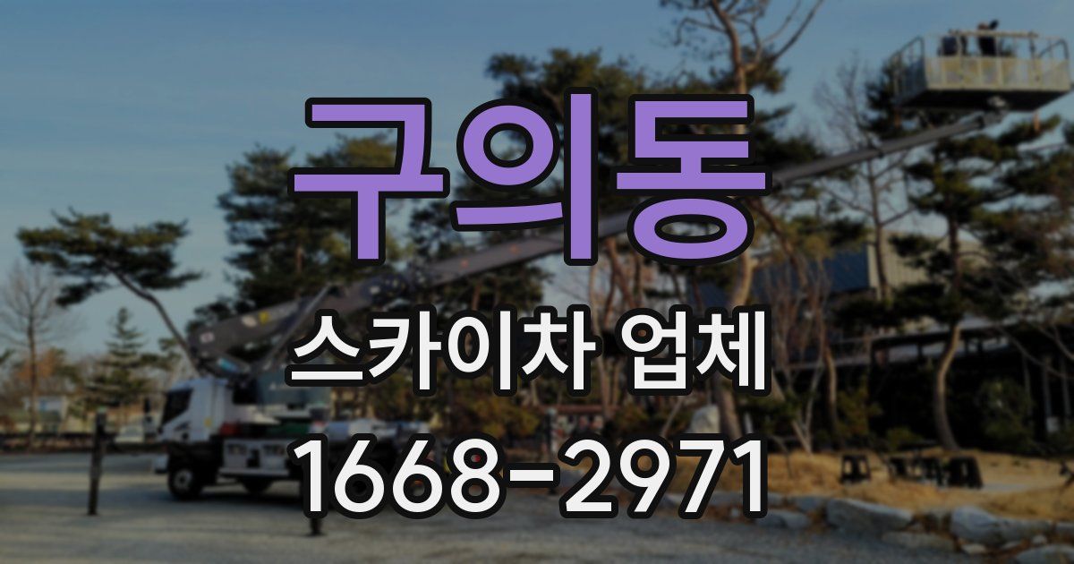 구의동 스카이차 업체