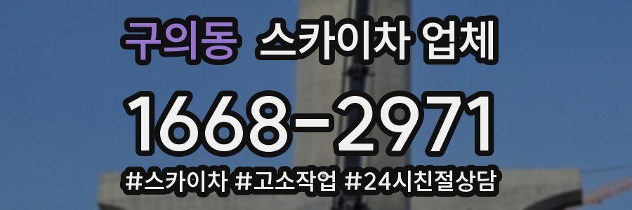 구의동 스카이차 업체