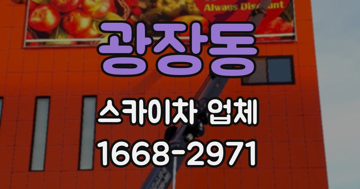 광장동 스카이차 업체