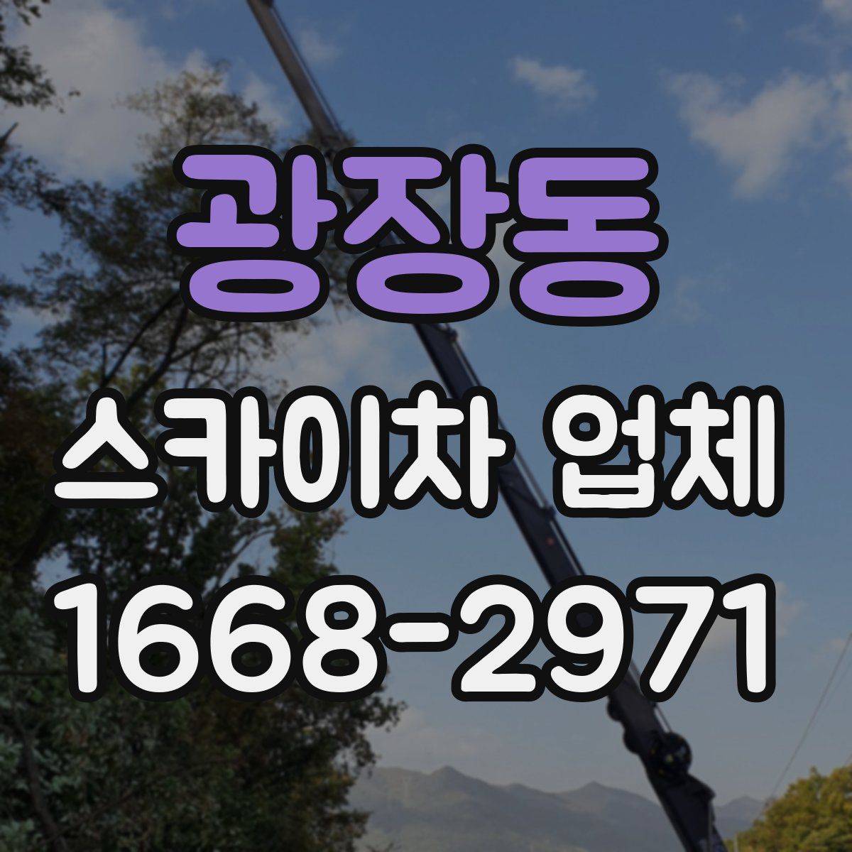 광장동 스카이차 업체