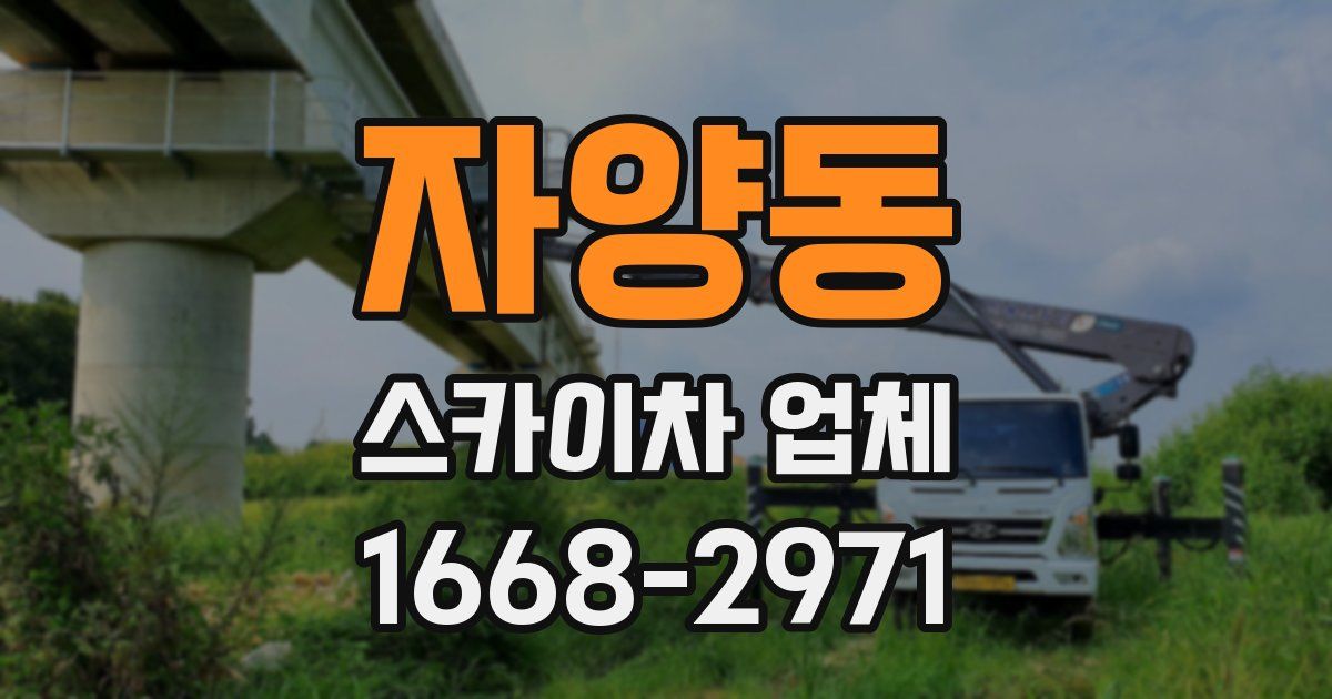 자양동 스카이차 업체