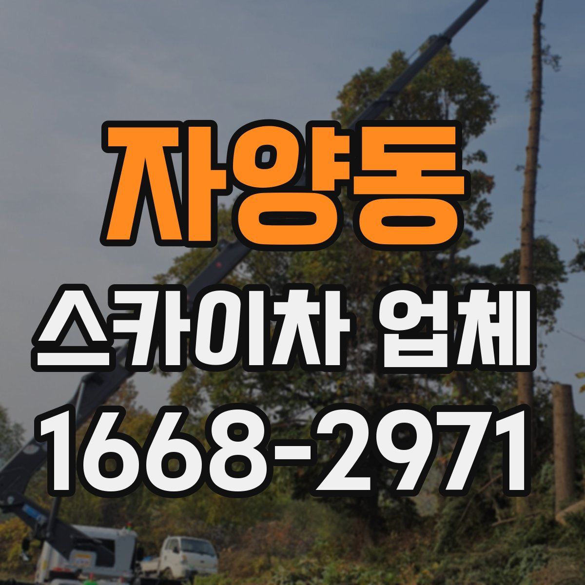 자양동 스카이차 업체