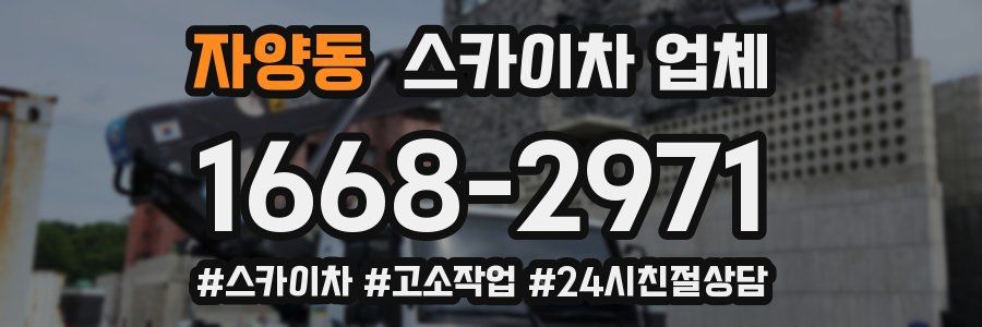 자양동 스카이차 업체