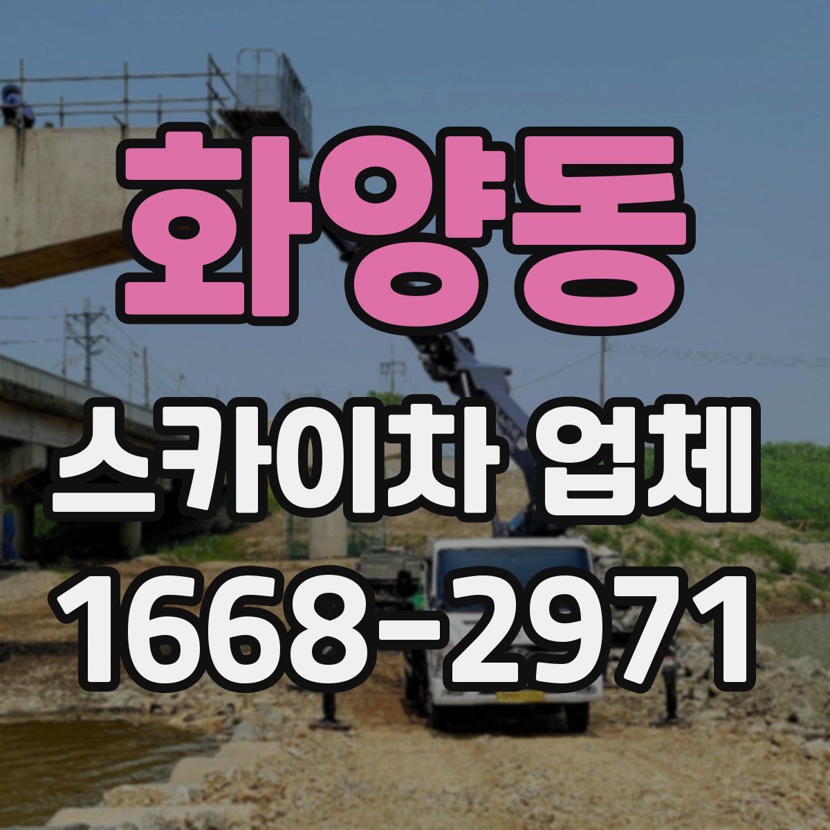 화양동 스카이차 업체