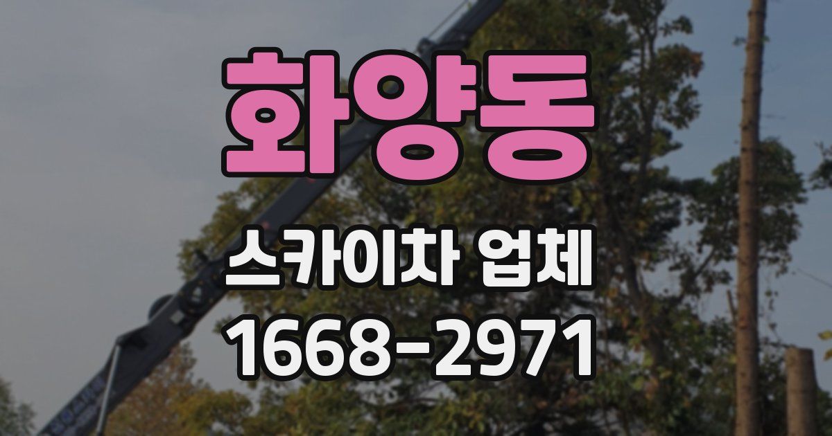 화양동 스카이차 업체