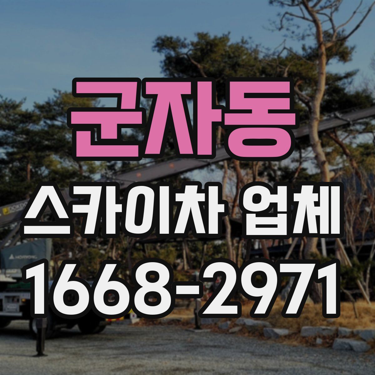 군자동 스카이차 업체
