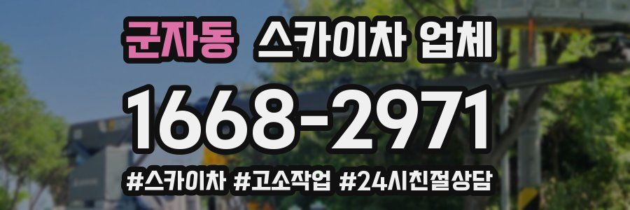 군자동 스카이차 업체