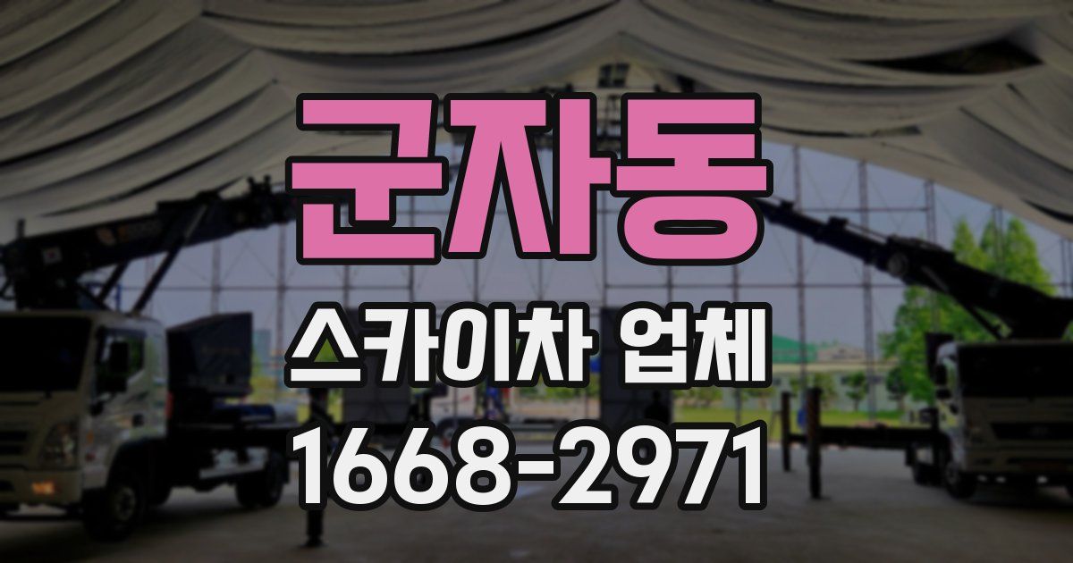 군자동 스카이차 업체