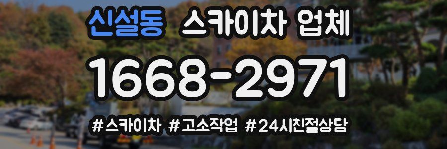 신설동 스카이차 업체