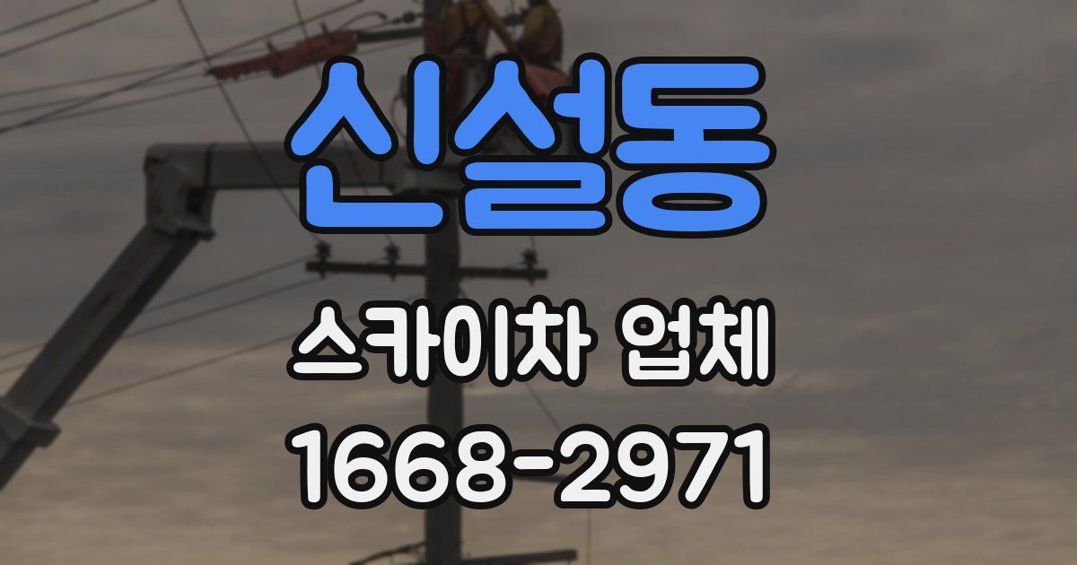 신설동 스카이차 업체