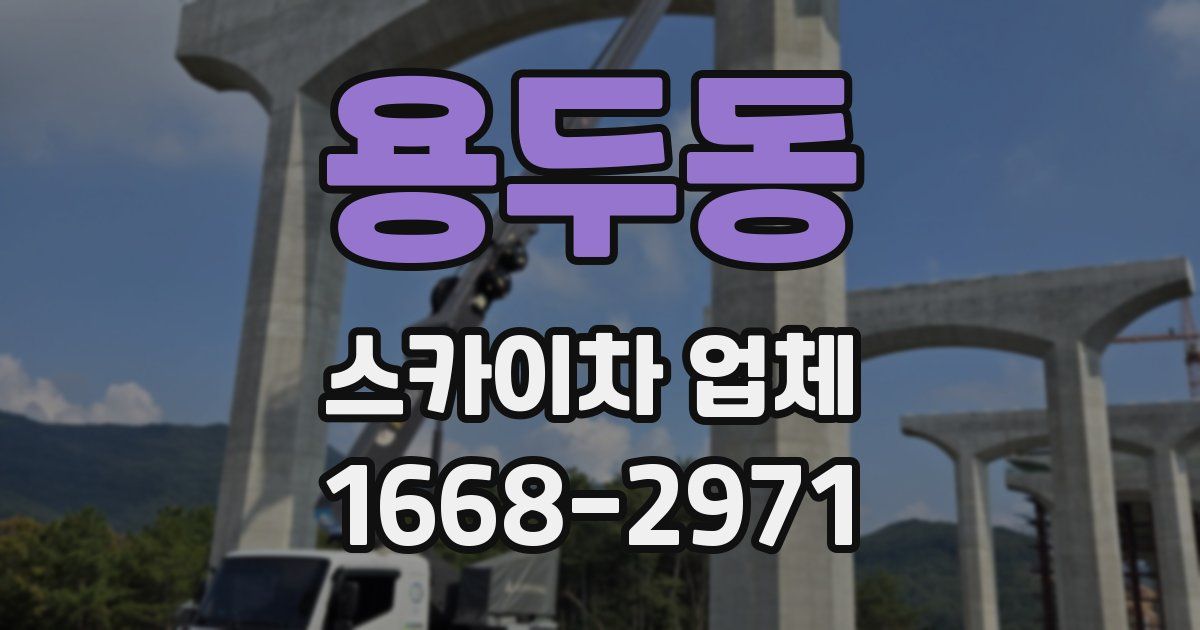 용두동 스카이차 업체
