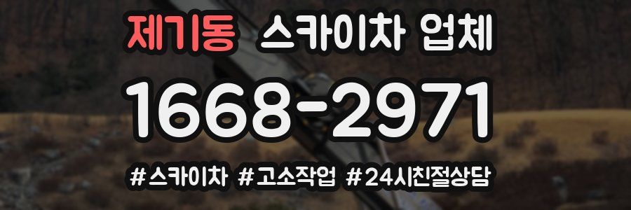 제기동 스카이차 업체