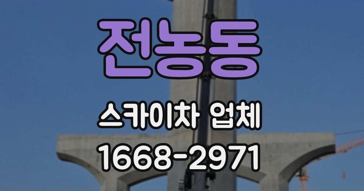 전농동 스카이차 업체