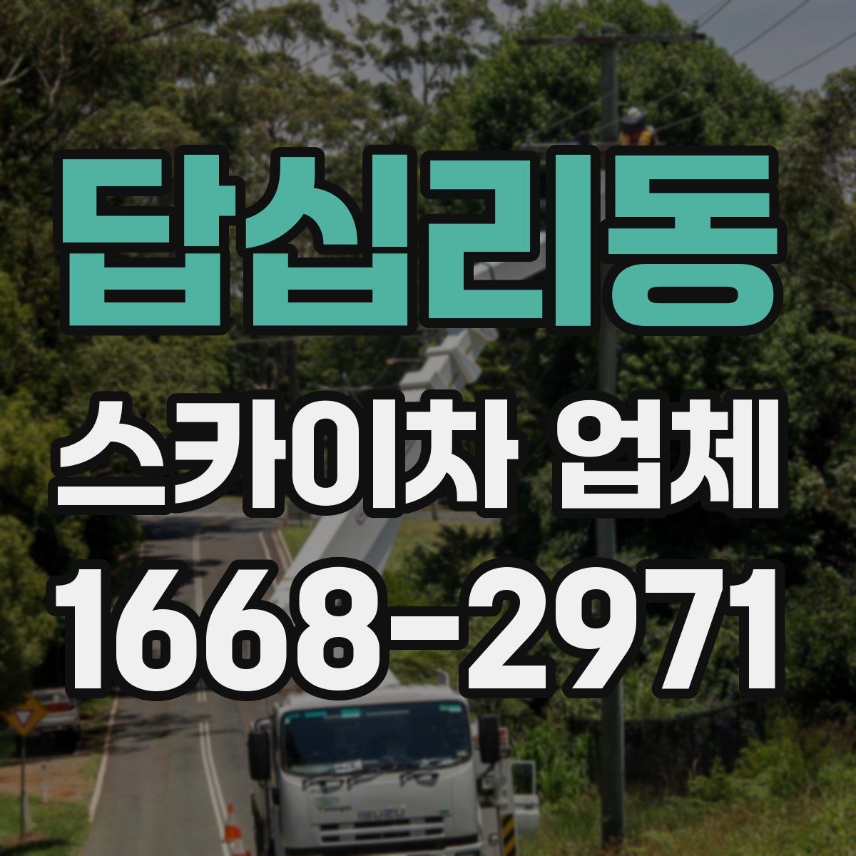 답십리동 스카이차 업체