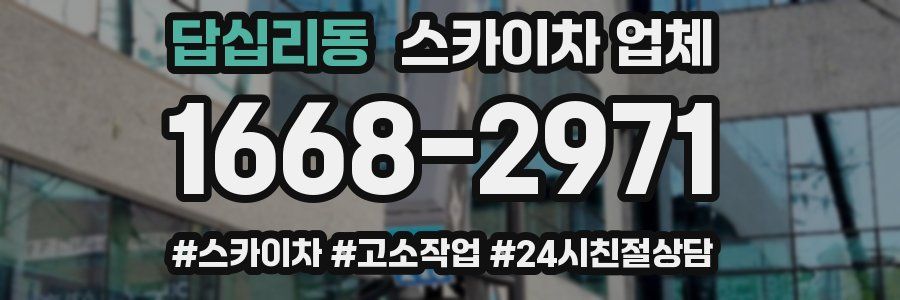 답십리동 스카이차 업체