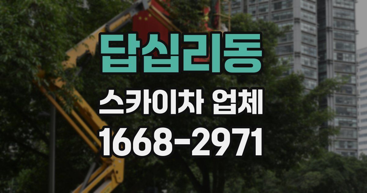 답십리동 스카이차 업체
