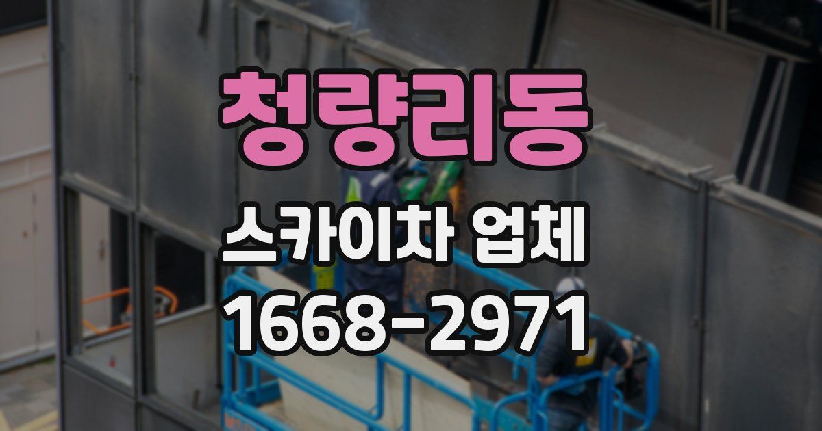 청량리동 스카이차 업체