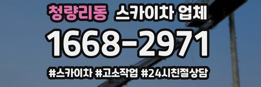 청량리동 스카이차 업체