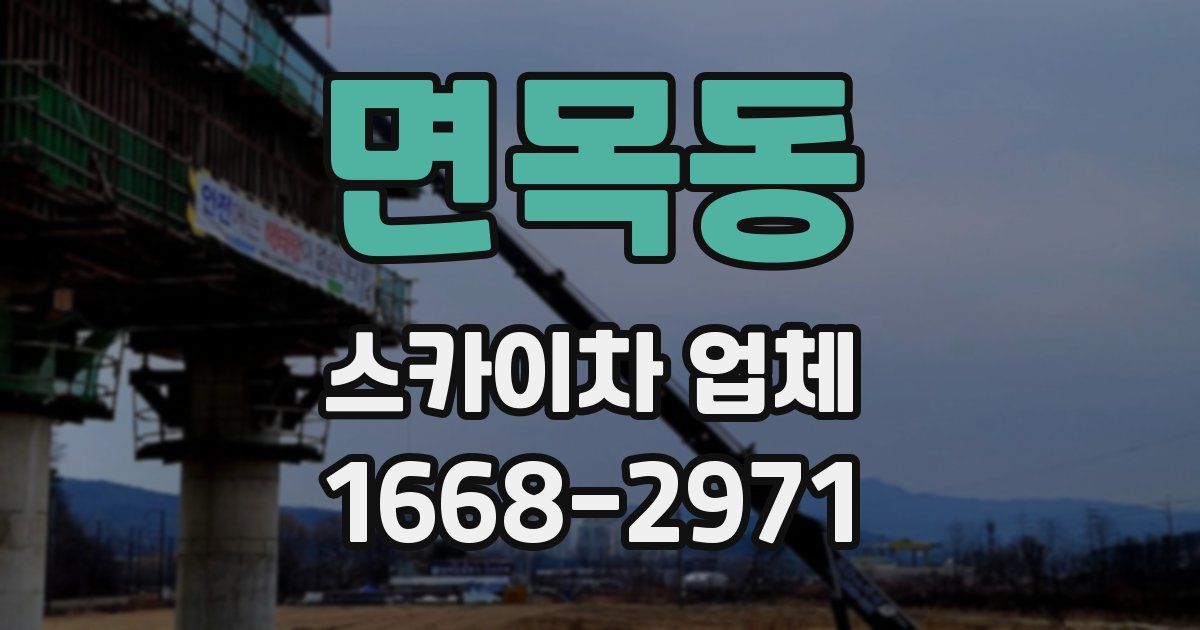 면목동 스카이차 업체