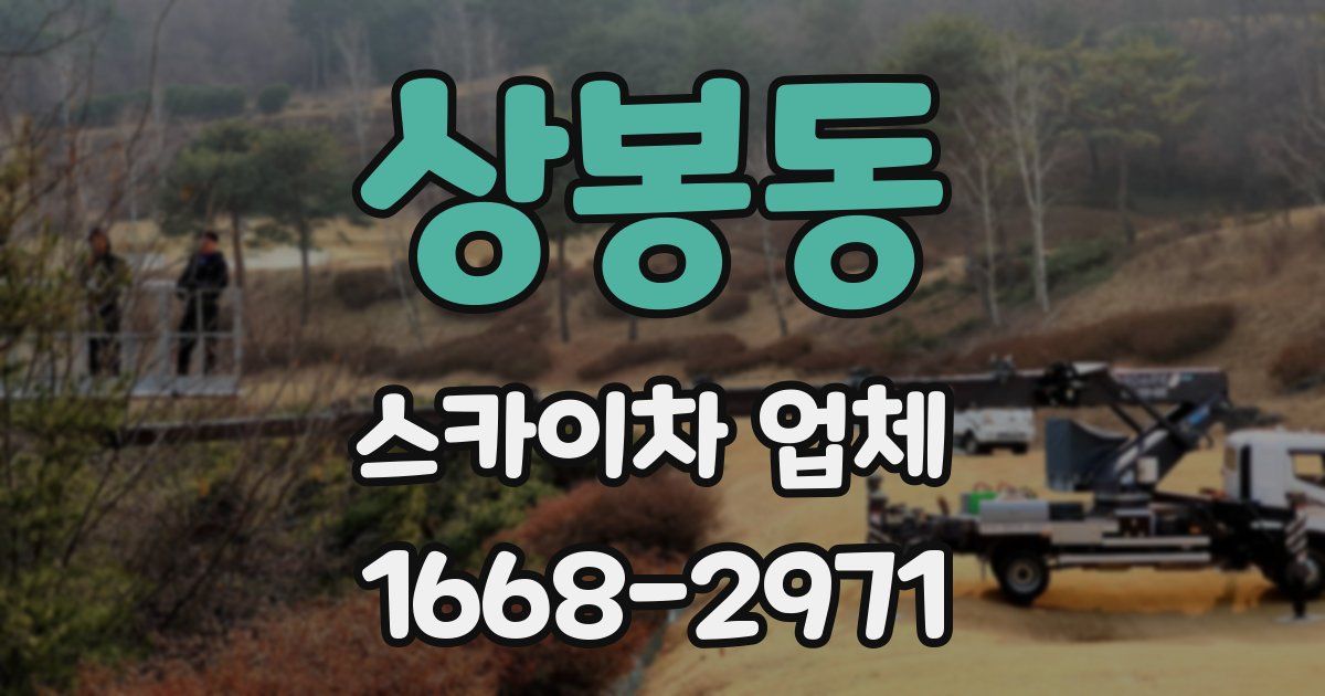 상봉동 스카이차 업체