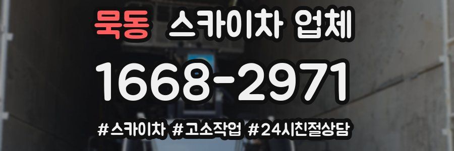 묵동 스카이차 업체