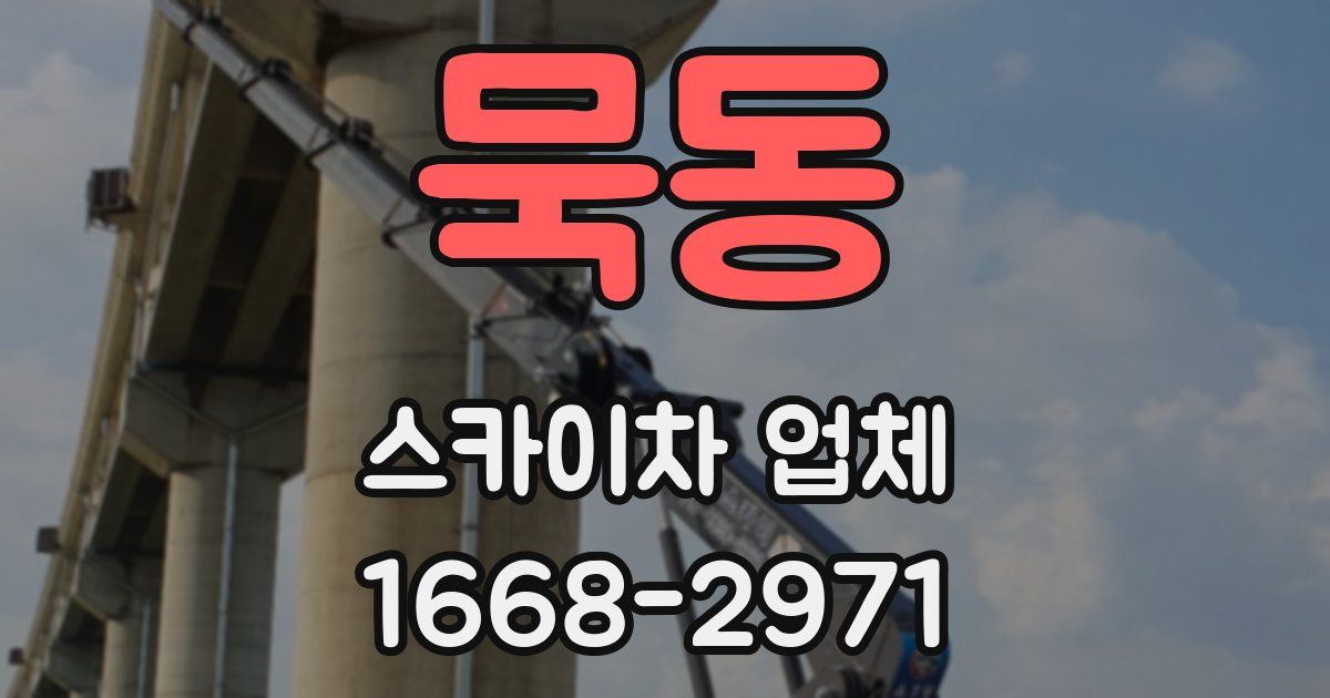 묵동 스카이차 업체