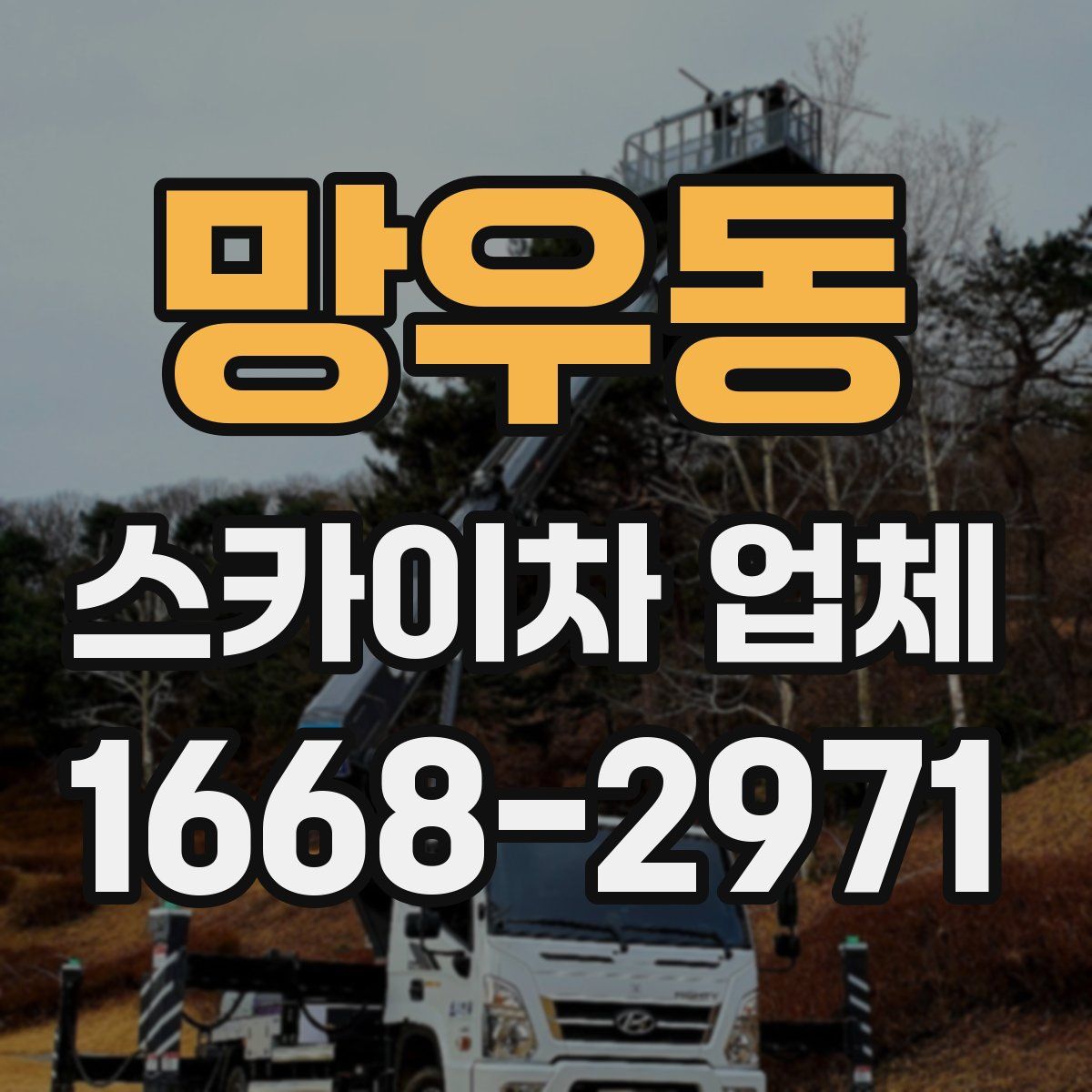 망우동 스카이차 업체