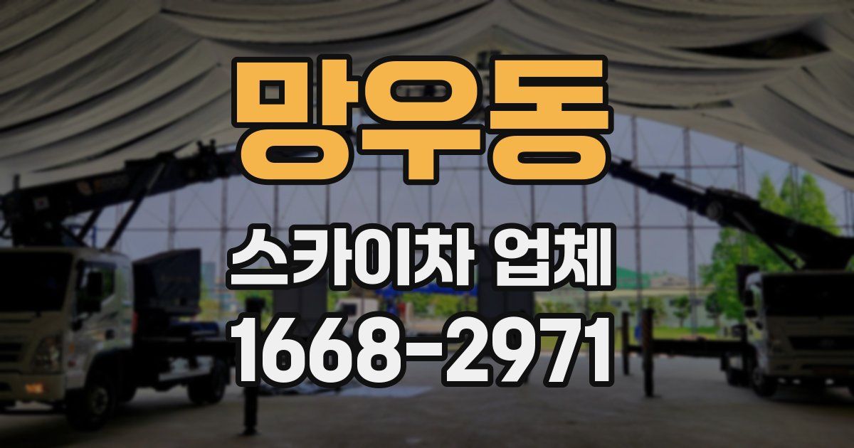망우동 스카이차 업체