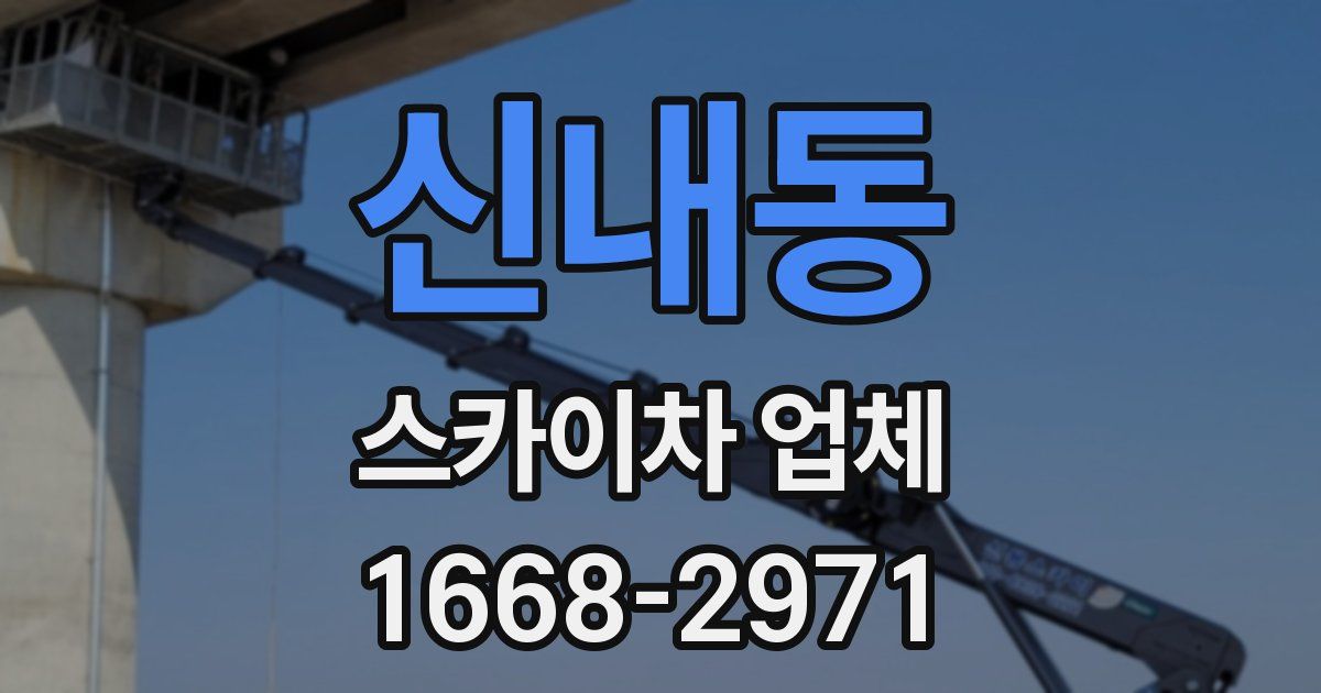 신내동 스카이차 업체