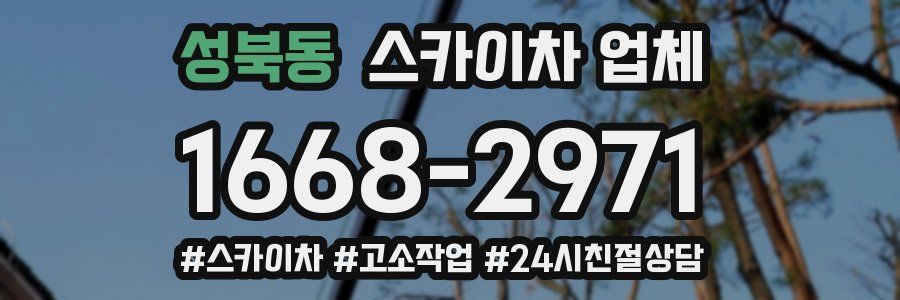 성북동 스카이차 업체