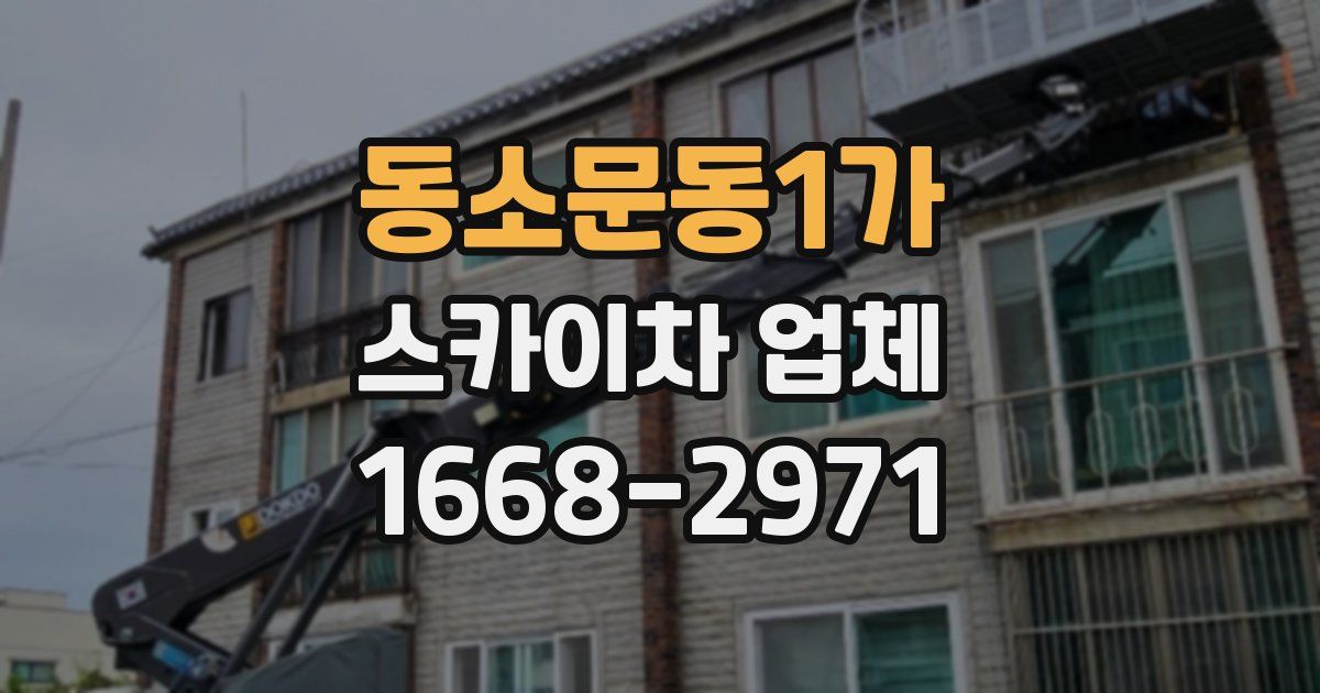 동소문동1가 스카이차 업체