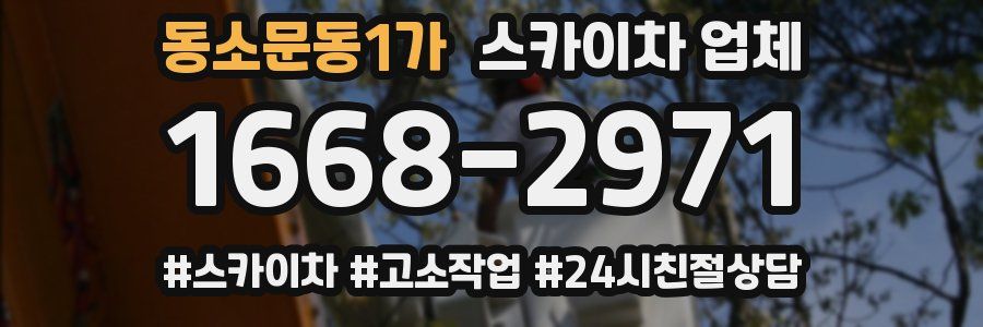 동소문동1가 스카이차 업체