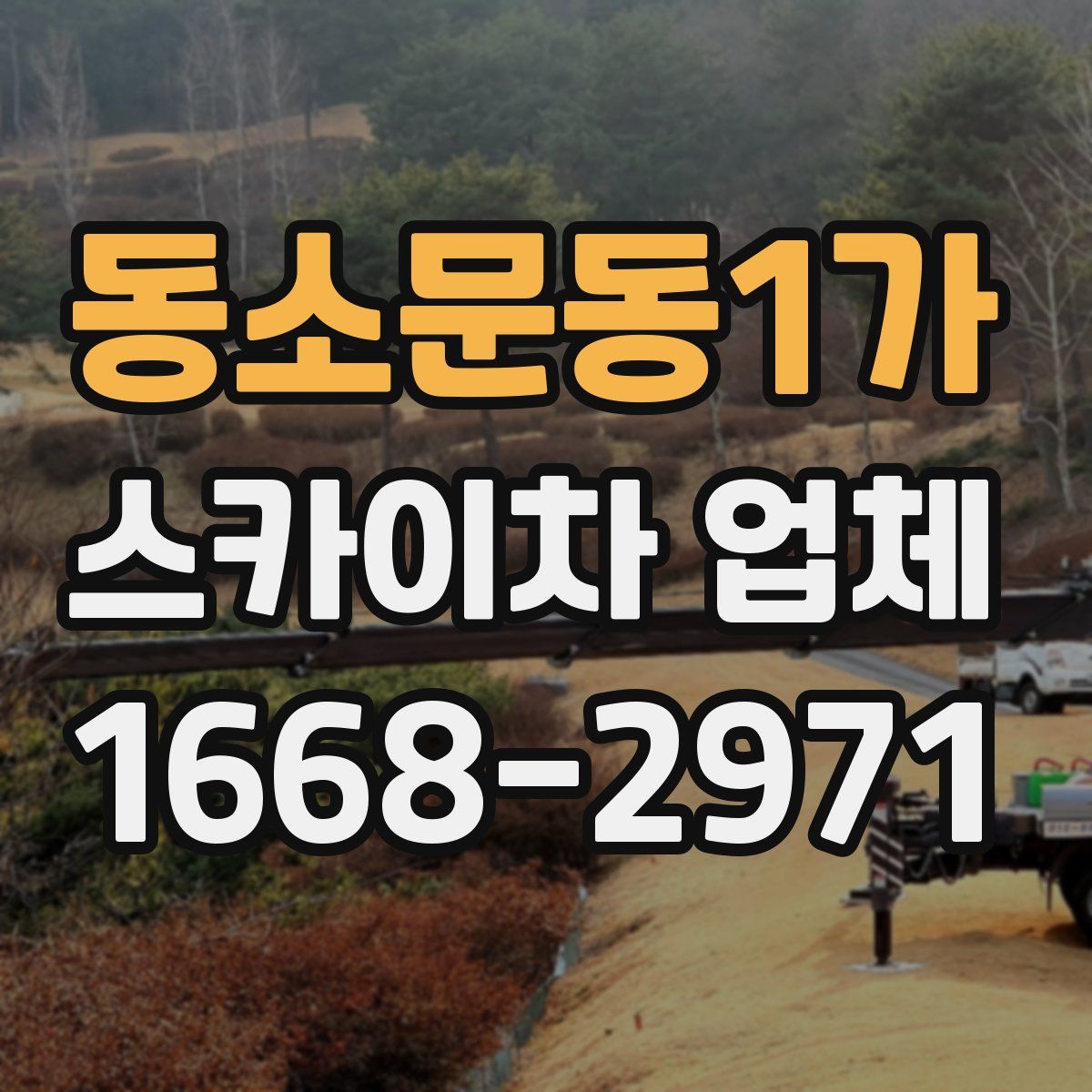 동소문동1가 스카이차 업체