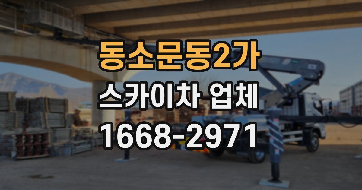 동소문동2가 스카이차 업체
