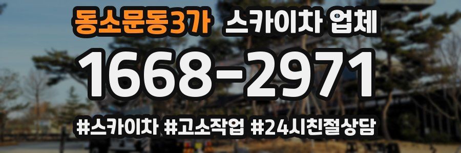 동소문동3가 스카이차 업체