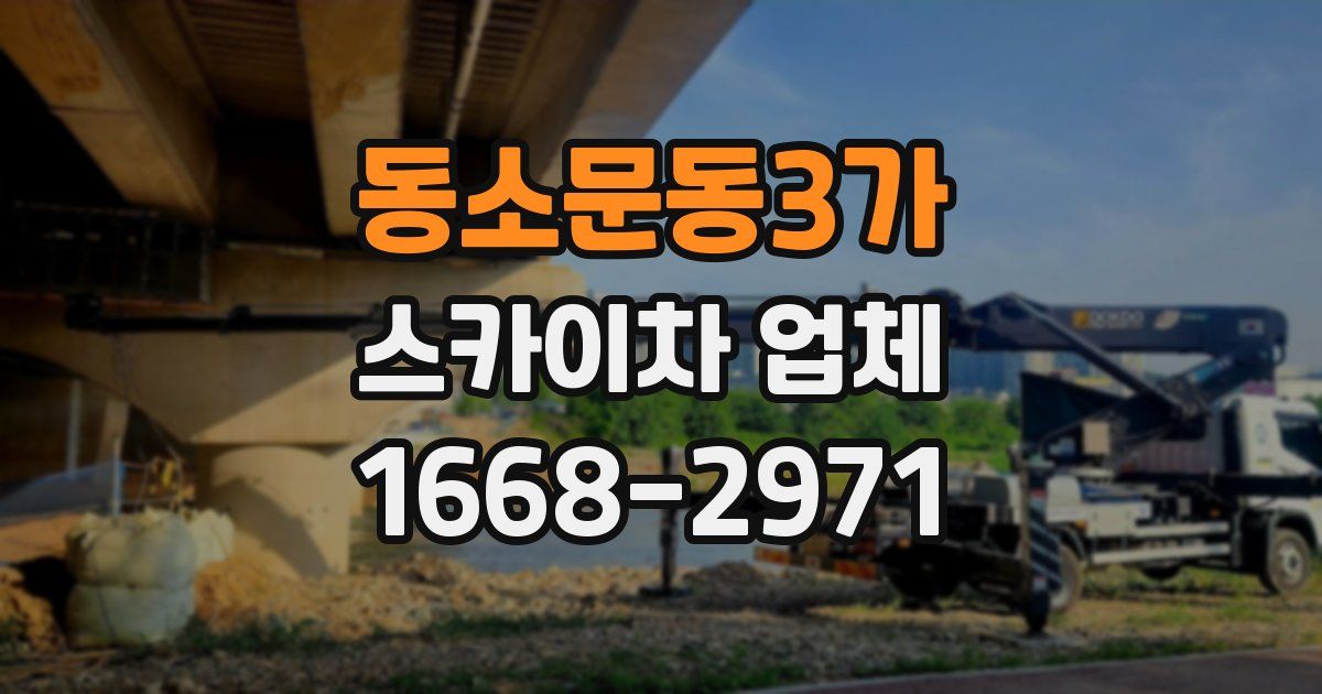 동소문동3가 스카이차 업체