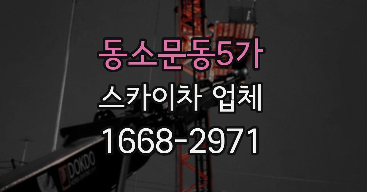 동소문동5가 스카이차 업체
